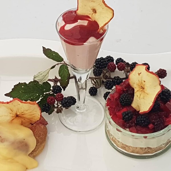 43328096 2020879154601900 4012382826157572096 n