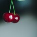 Black Cherries