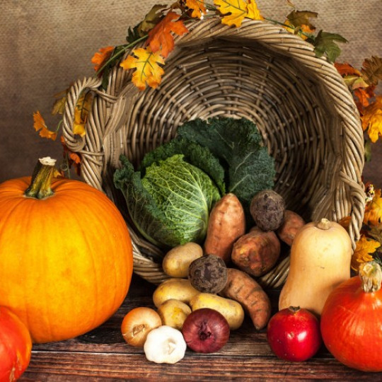 Harvest Festival Supper Club e1506081181868