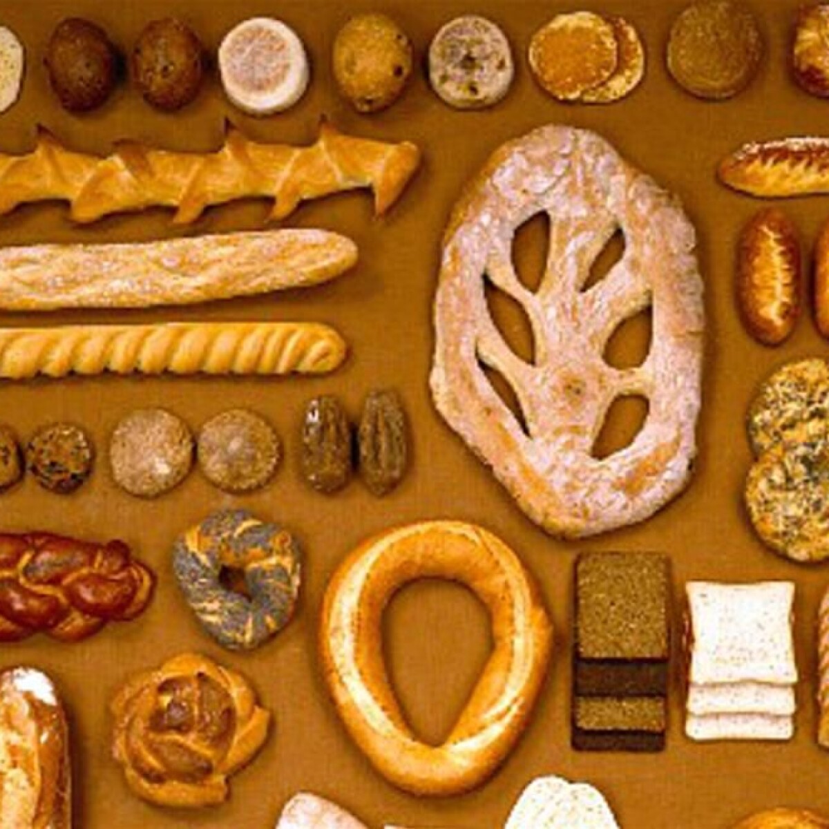 Breads of the World » Harts Barn Cookery School